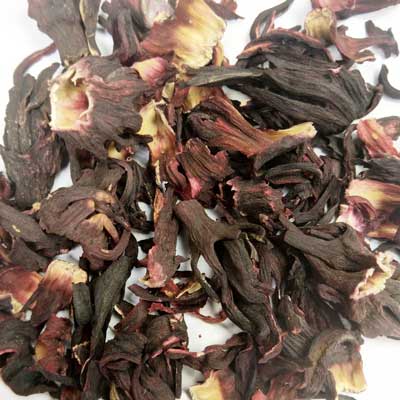 Hibiscus  (Hibiscus sabdariffa)