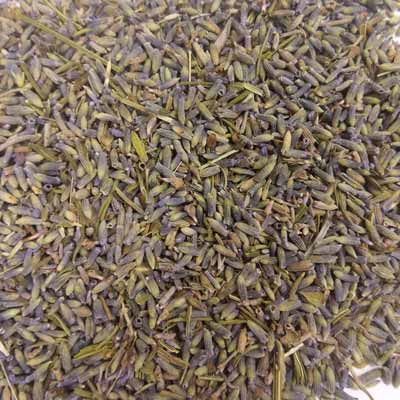 Lavender (Lavandula angust.)