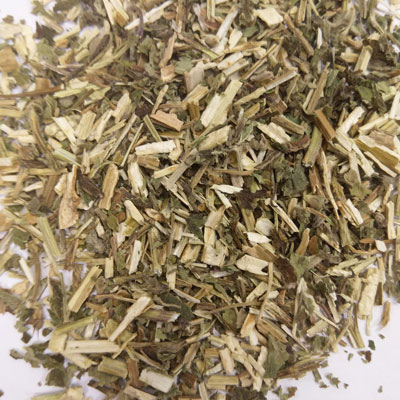 Motherwort (Leonurus cardiaca)