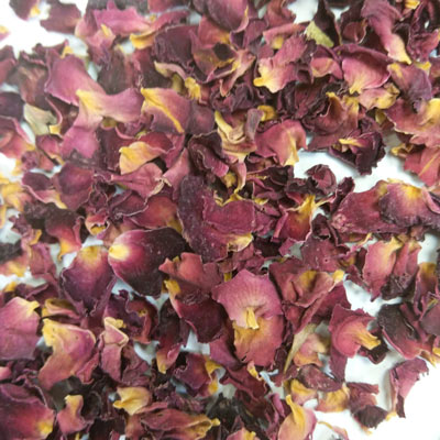 Rose Petals (Rosa spp.)