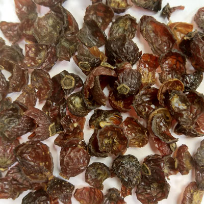 Rosehip Shells (Rosa canina)