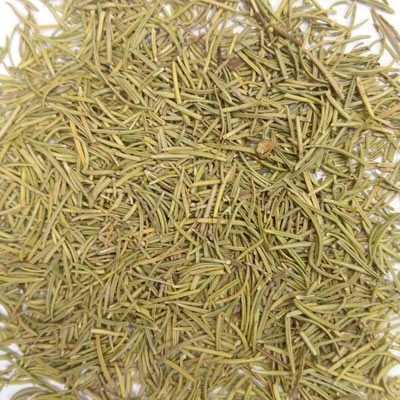 Rosemary  (Rosmarinus officinalis)