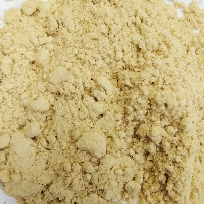 Slippery Elm (Ulmus fulva)