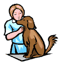 Pets and Complementary Medicine