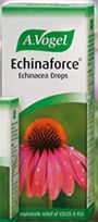 A Vogel's Echinaforce Tincture