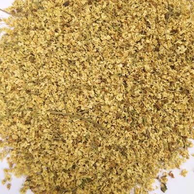 Elderflower (Sambuccus nigra)