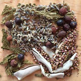 Medical Herbalism