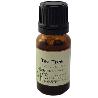 Tea Tree Essential Oil 
